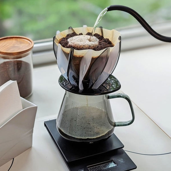 Hario V60 Suiren Dripper