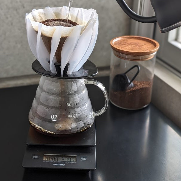 Hario V60 Suiren Dripper