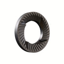 Fiorenzato Pietro M Modal Burrs 58mm flat burr set engineered for precise filter coffee grinding