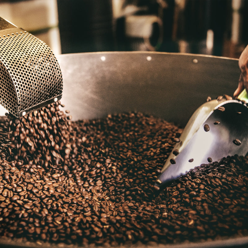 Coffee Regions Of The World: Asia And Arabia-Alternative Brewing