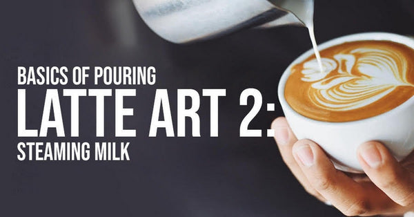 basics of pouring latte art steaming milk