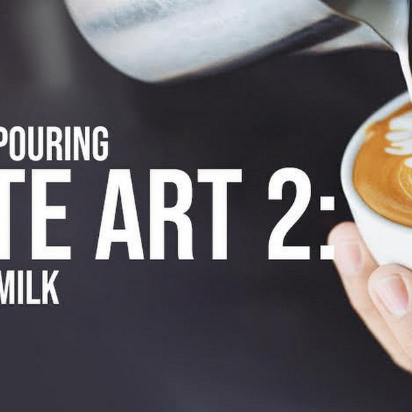 Basics Of Pouring Latte Art: Steaming Milk - Alternative Brewing