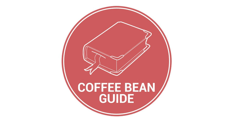The Coffee Lover’s Guide To Buying Coffee Beans-Alternative Brewing