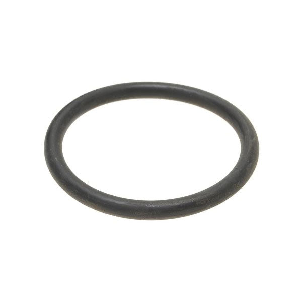 Bezzera Filterholder Gasket