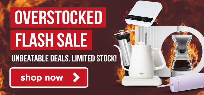 Overstocked Flash Sale