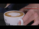 Video showing the Gaggia Accademia Automatic Espresso Machine