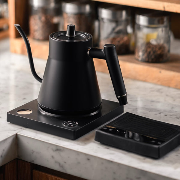 Electric Kettle for Coffee Brewing