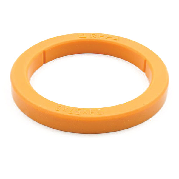 Repa E61 Silicone Group Seal